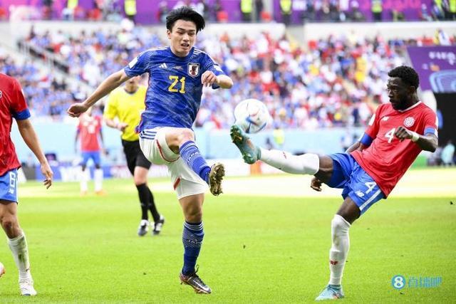 并非两张皮 并非两张皮