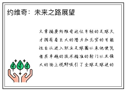 约维奇：未来之路展望