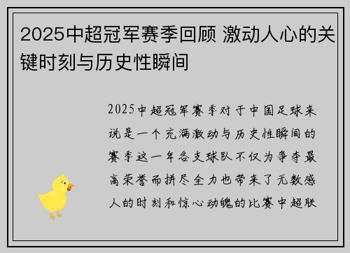 2025中超冠军赛季回顾 激动人心的关键时刻与历史性瞬间