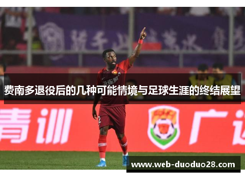 费南多退役后的几种可能情境与足球生涯的终结展望